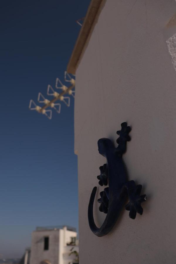 B&B Salentus Gallipoli Bagian luar foto